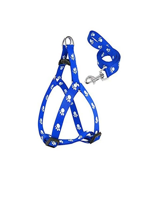 Pups&Pets Pet Combo Puppy Paw Print Harness Leash Set for Small Dog and Puppies (Blue) - Image 1